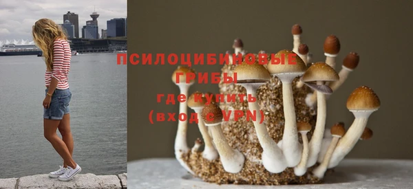 хмурый Алексеевка