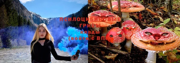 дмт Алзамай