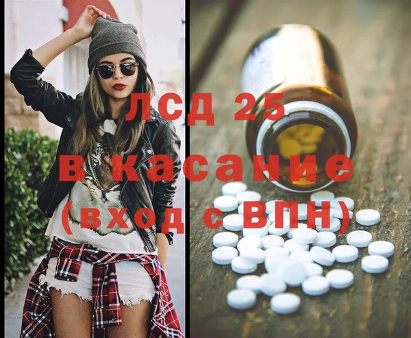 дмт Алзамай
