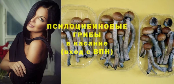 хмурый Алексеевка