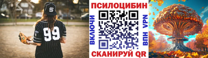 Псилоцибиновые грибы MAGIC MUSHROOMS  дарнет шоп  гидра как зайти  Сураж 